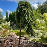 Mitori Appartamento *