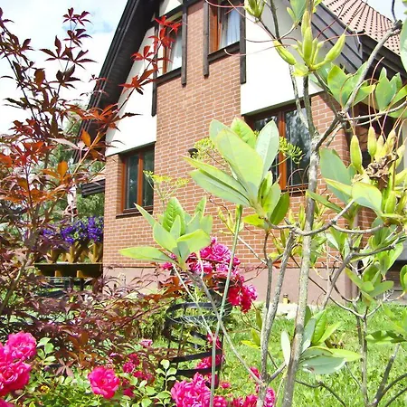 Mitori * ディビティ